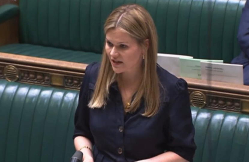 Laura speaking in the Chamber